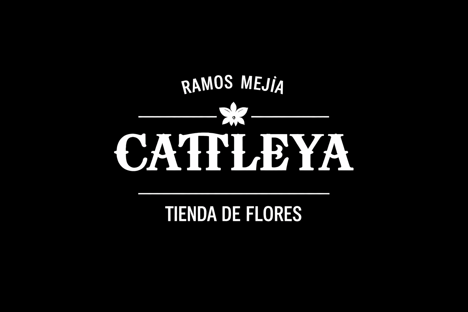 Galería 5